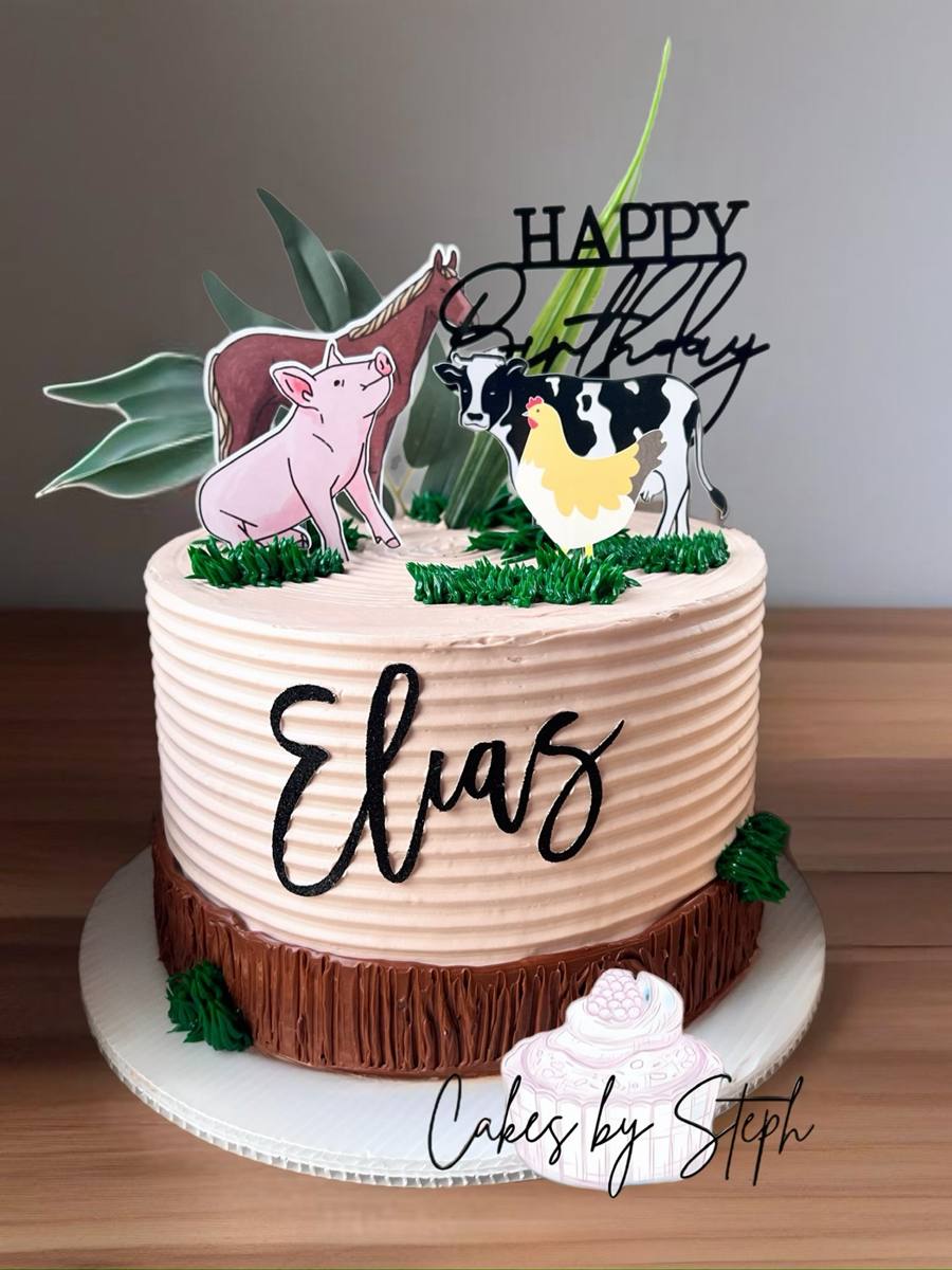 Farm-animal cake with grass, "Elias" name and Happy Birthday topper by Cakes by Steph, Leesburg VA